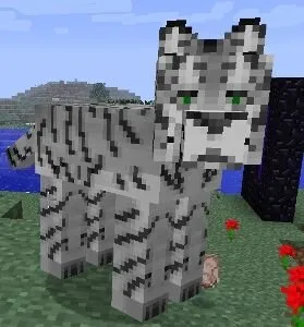 Скриншот №1 с сервера MineBars