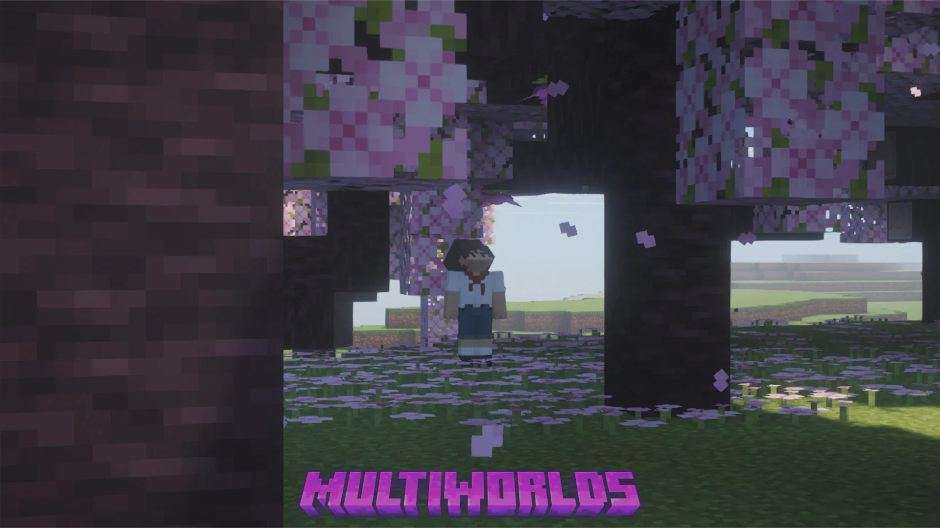 Скриншот №11 с сервера MultiWorlds