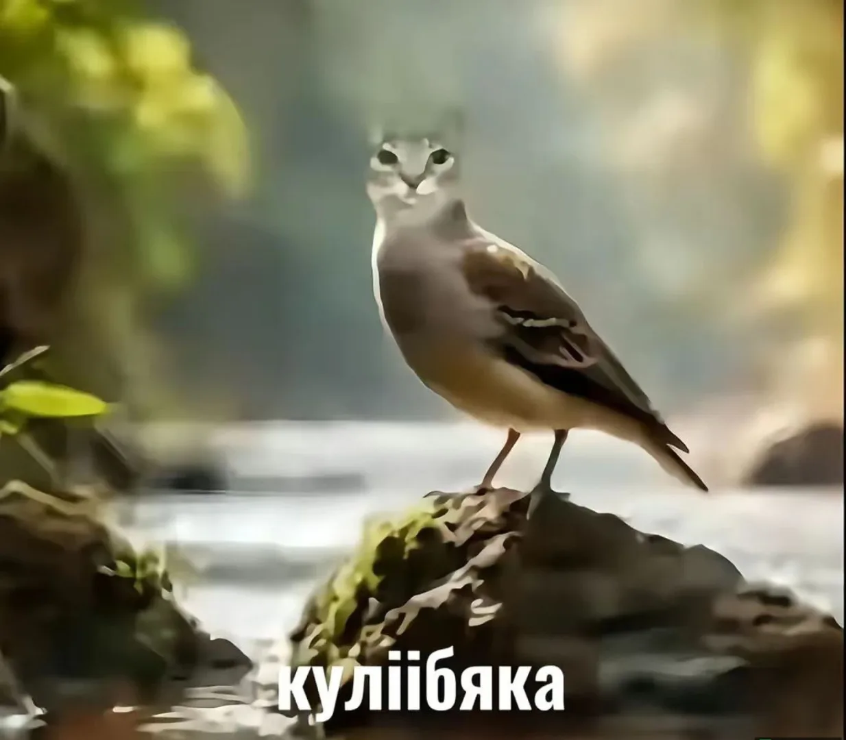 Скриншот №1 с сервера SpacePvP
