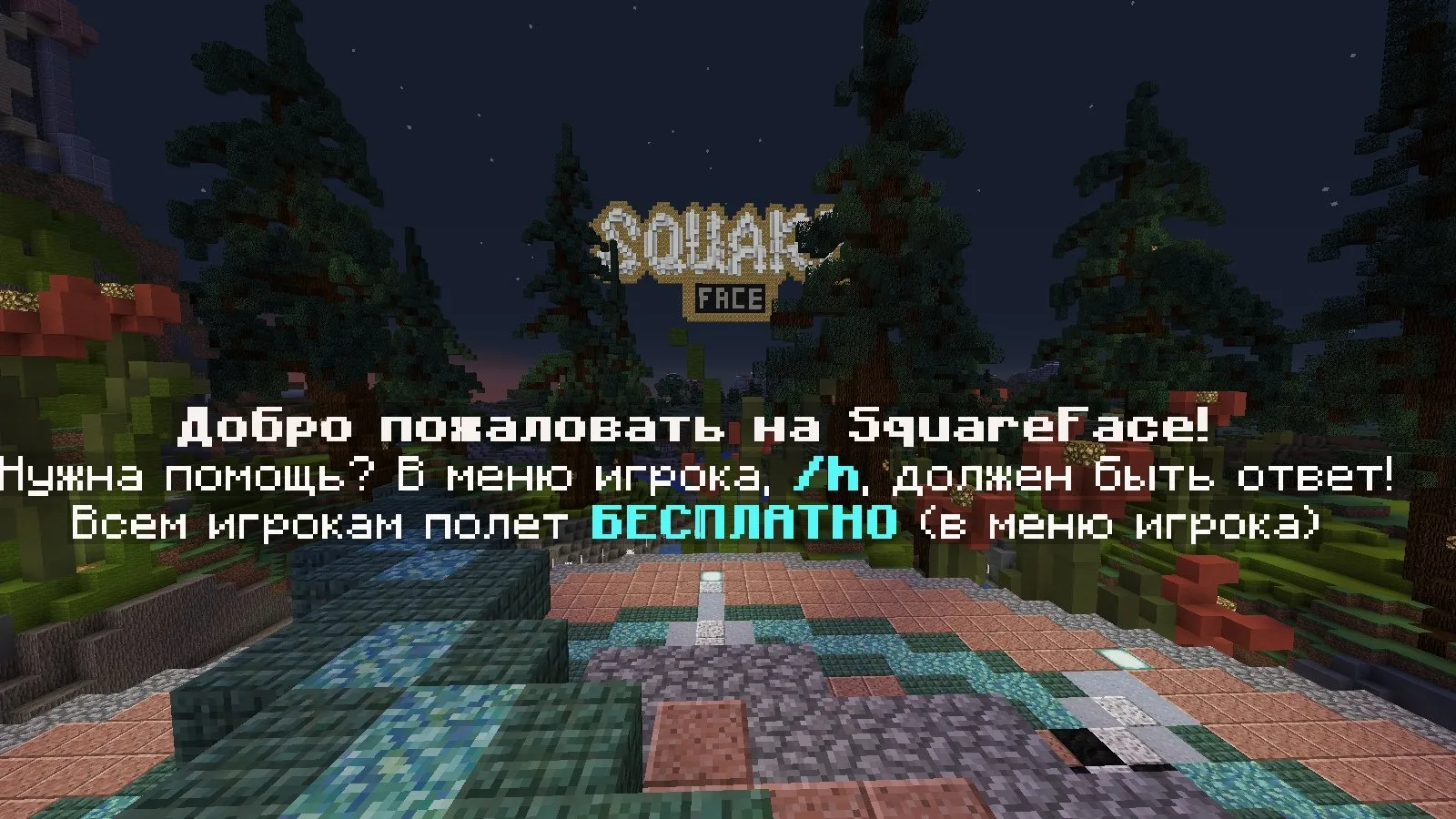 Скриншот №1 с сервера SquareFace