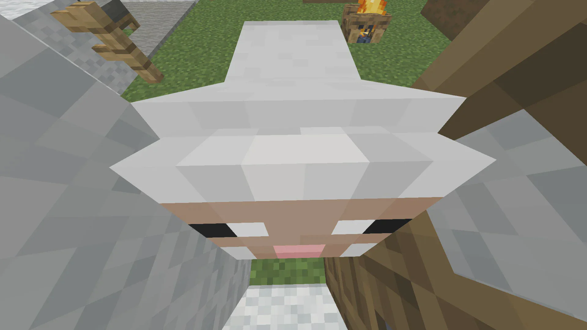 Скриншот №5 с сервера ZapCraft