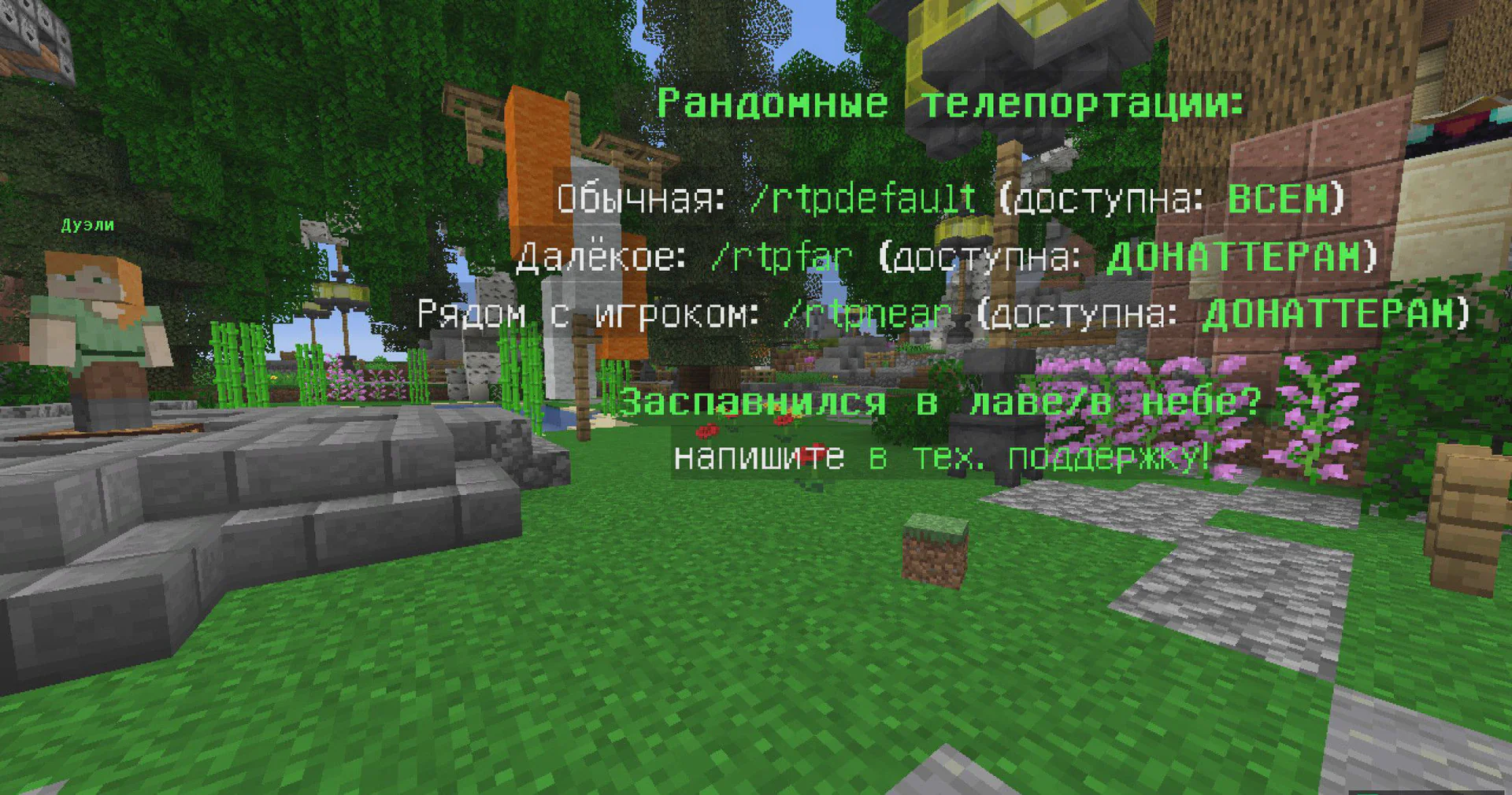 Скриншот №5 с сервера DipWorld