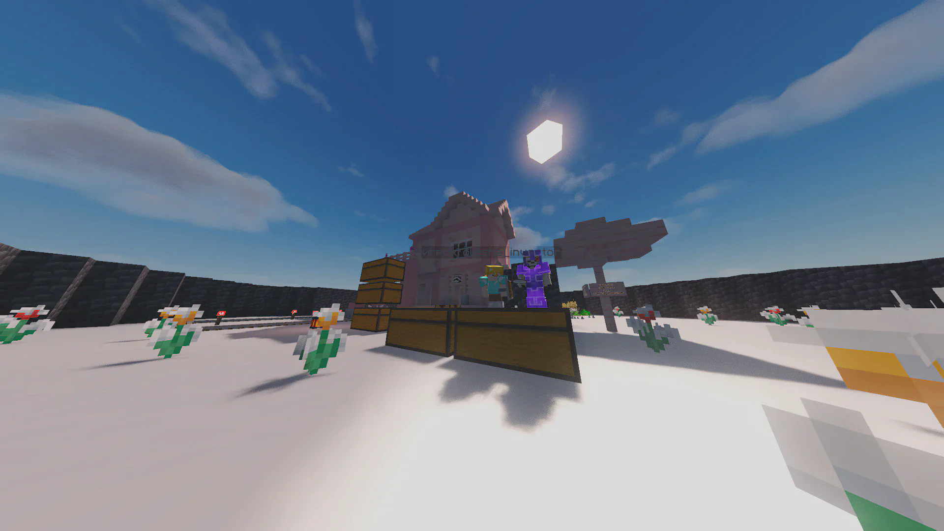 Скриншот №4 с сервера Eternal Lands SMP