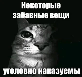 Скриншот №7 с сервера YourLine