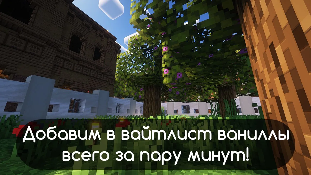 Скриншот №5 с сервера DristMine
