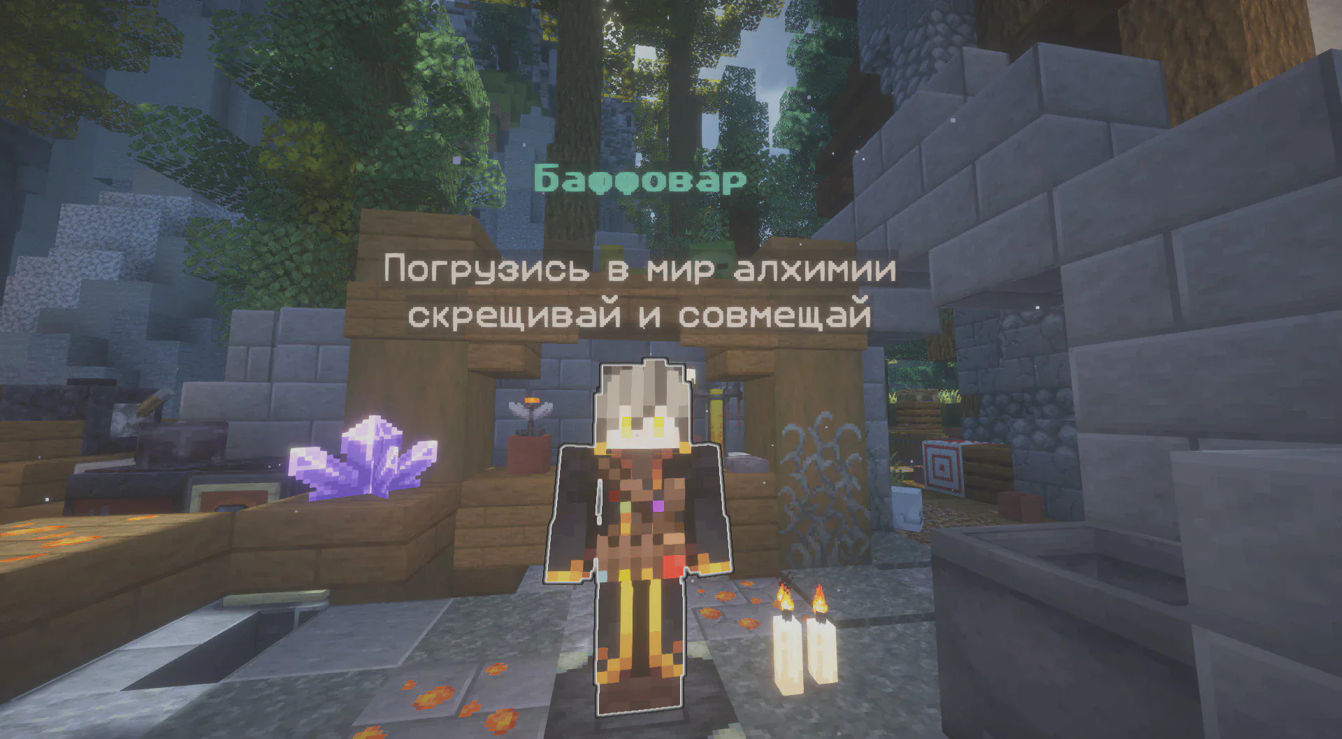 Скриншот №10 с сервера CASTLEMC