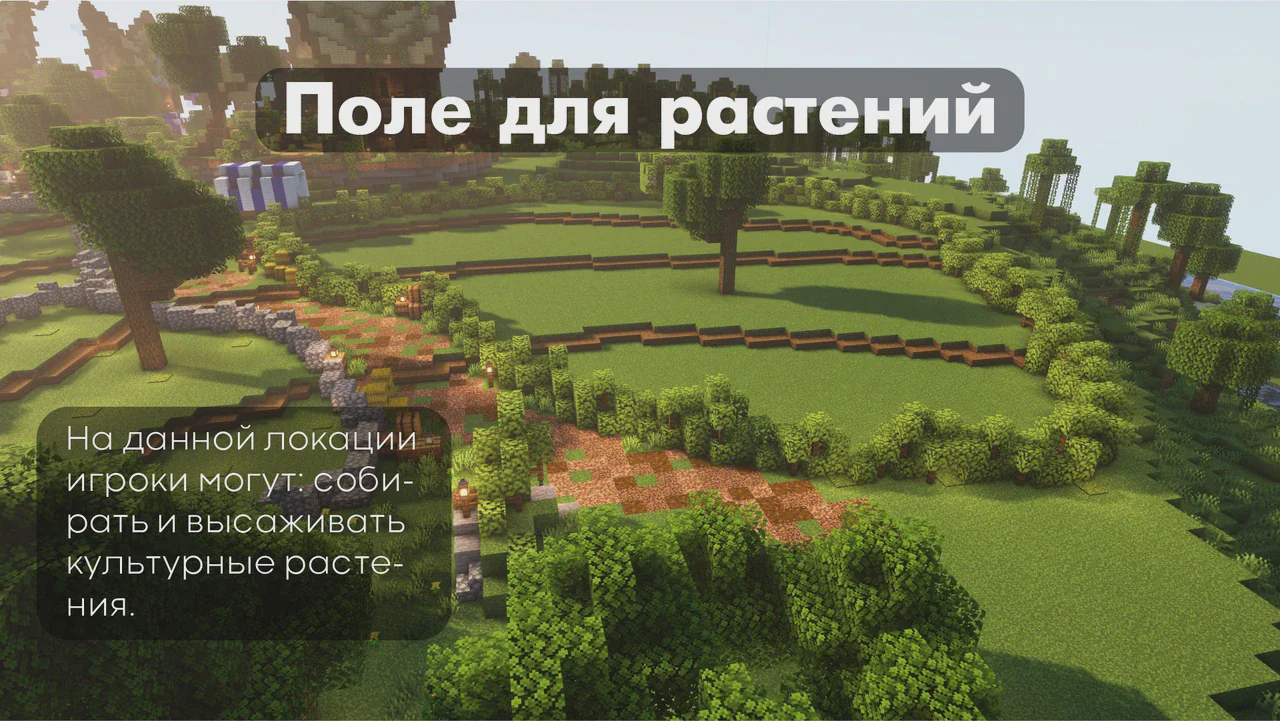 Скриншот №7 с сервера ProjectBW
