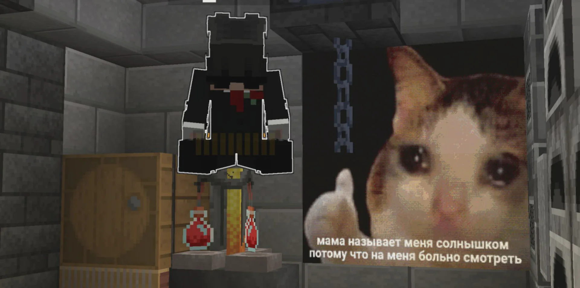 Скриншот №11 с сервера Melmac